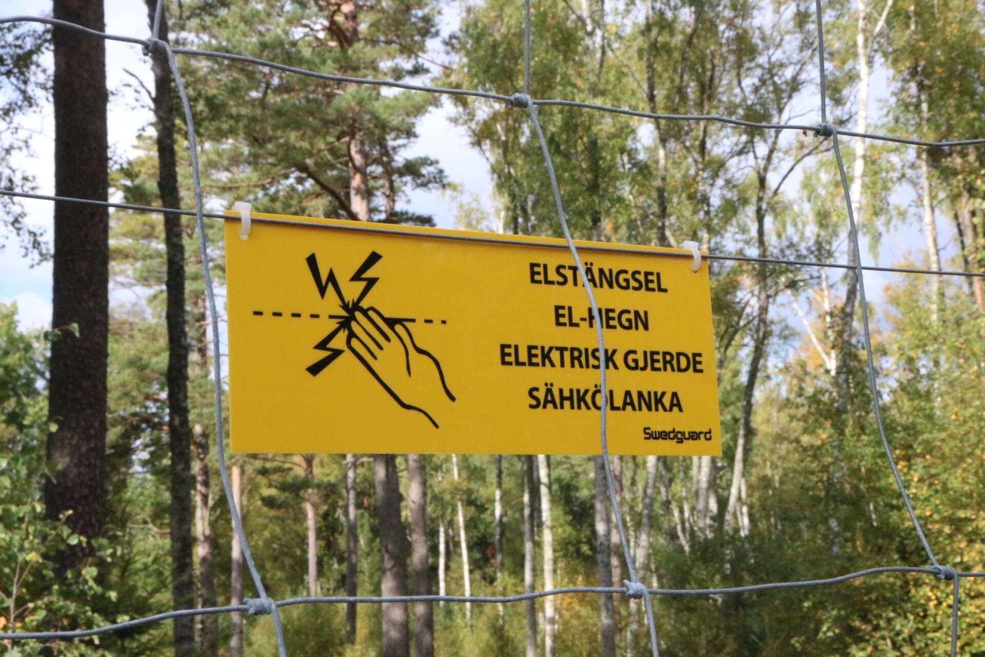 Den före detta campingen i Baggerud kommer att få nytt liv när Sätuna Turism och förvaltning förverkligar sina planer.