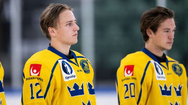 Albert Wikman och Elliot Ståhlberg kallas in till U19-samlingen.