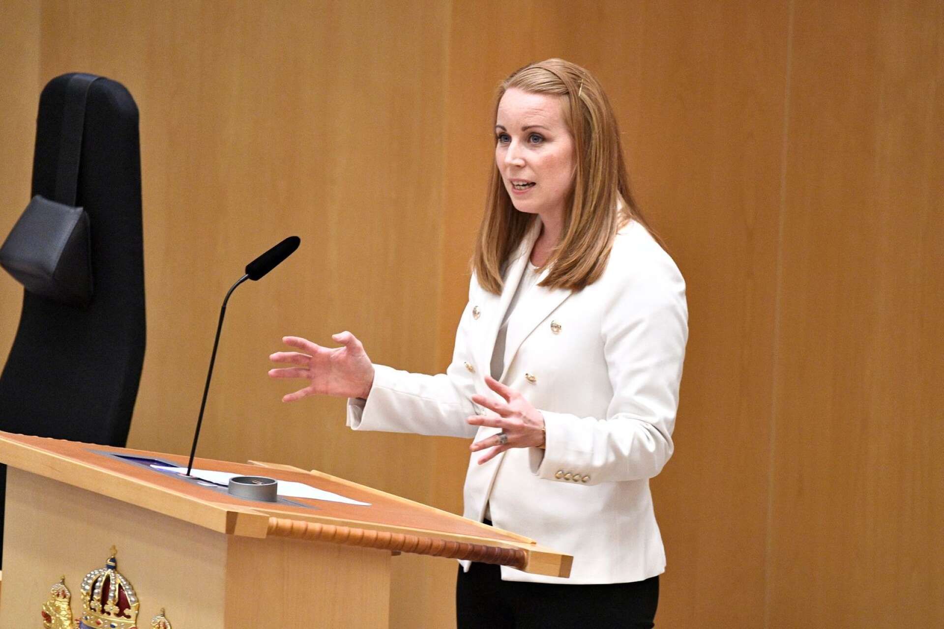 Centerpartiets partiledare Annie Lööf pressade statsminister Stefan Löfven i skattefrågan under partiledardebatten i riksdagen förra veckan.