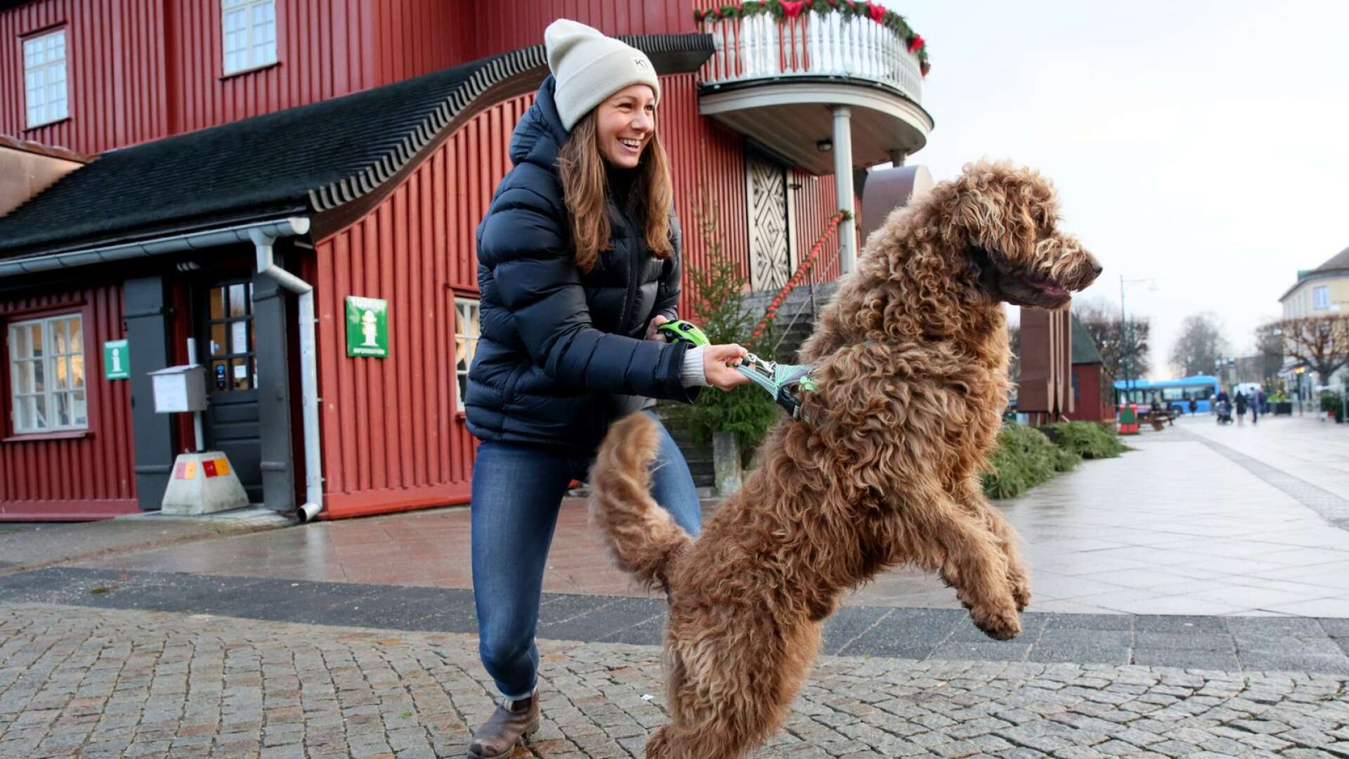 Maja Wellner, Destinationsbolaget Lidköping-Kinnekulle, jobbar för att Lidköping ska locka hundar och deras hundägare att turista i trakten. På bilden syns den ostyrige men högst charmfulle Harry.