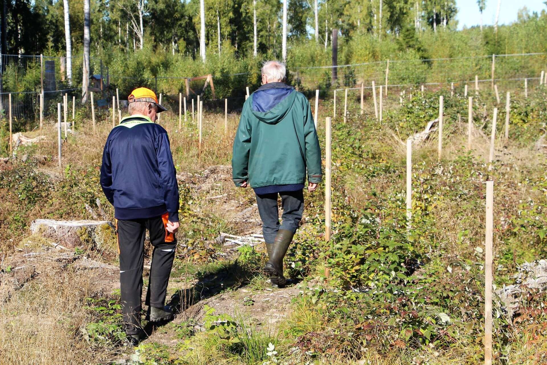 Det är i samarbete med Skogsstyrelsen, Sveriges lantbruksuniversitet (SLU) i Siljansfors i Dalarna och naturbruksgymnasiet Södra Viken som demonstationsodlingen vid Mårbacka har skapats. 