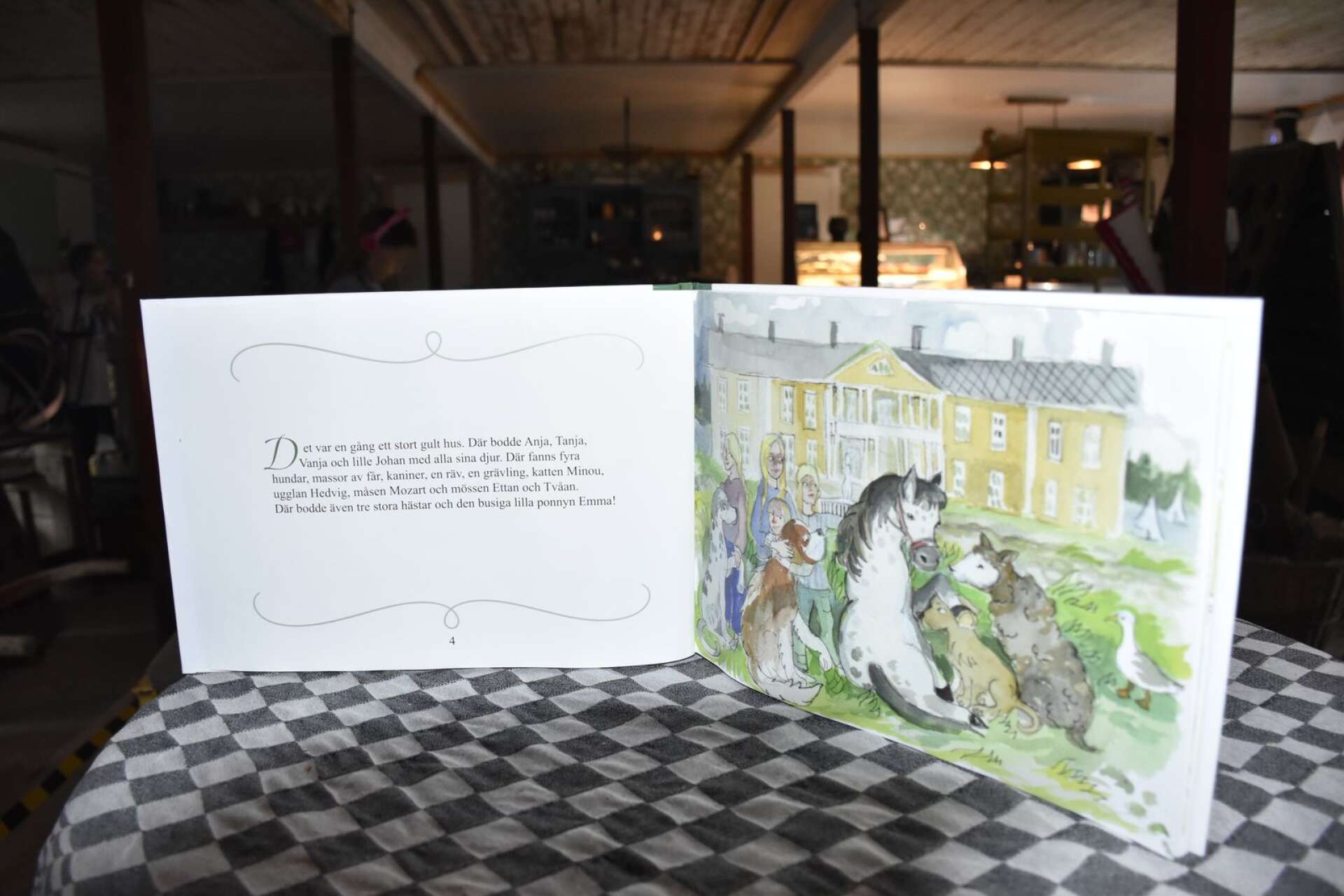 Konstnärinnan Marja i Myrom har målat bilderna i boken ”Söljebarnens djur - Emmas äventyr” som handlar om Söljebarnens sagolika värld. Under lördagen signerar Marja boken till de besökare som vill. 