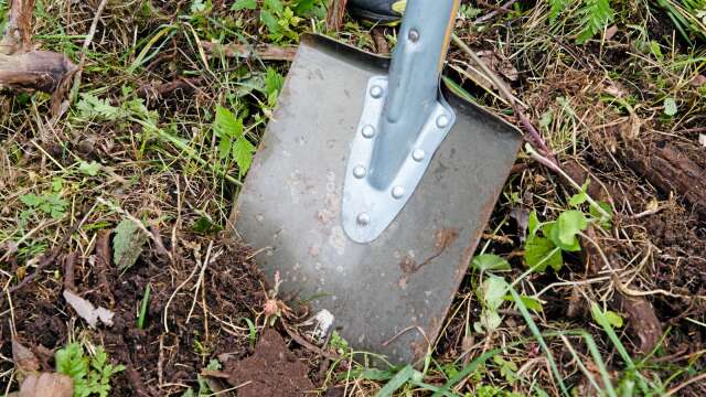 En spade, samt trädgårdsmöbler, har stulits ur en trädgård i Mässvik. Dock inte den här spaden./ARKIVBILD