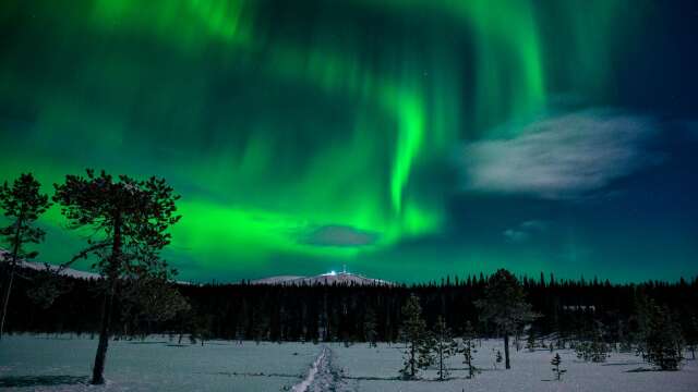 En aurora-forecast förvarnar om när chanser för norrsken ökar.