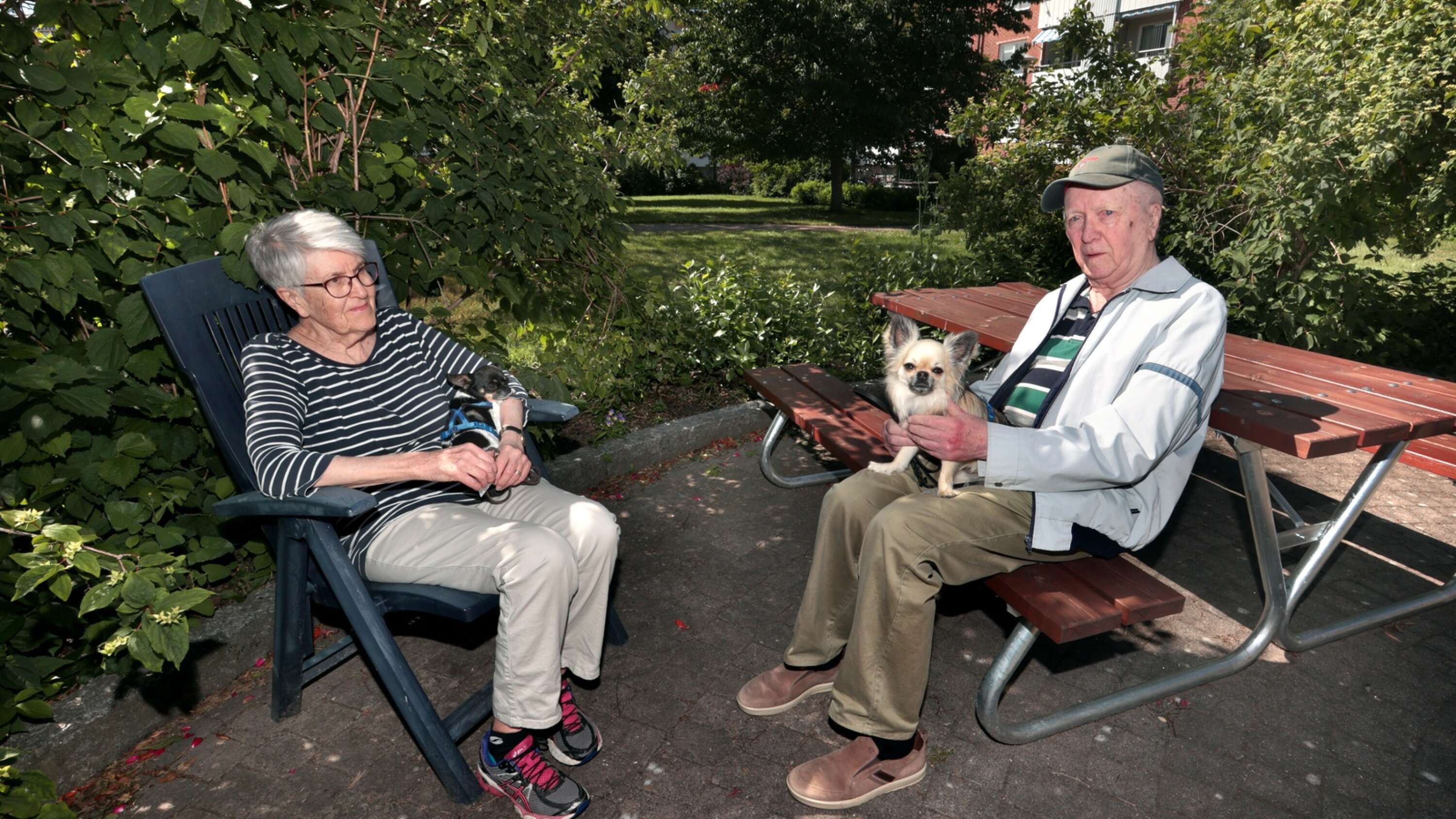 Ingrid och Bertil Hågelid har bott på Gruvlyckan i Karlstad sedan i mitten av 1960-talet. På Gruvlyckan är innergårdarna mellan de röda tegelhusen luftiga och lummiga.