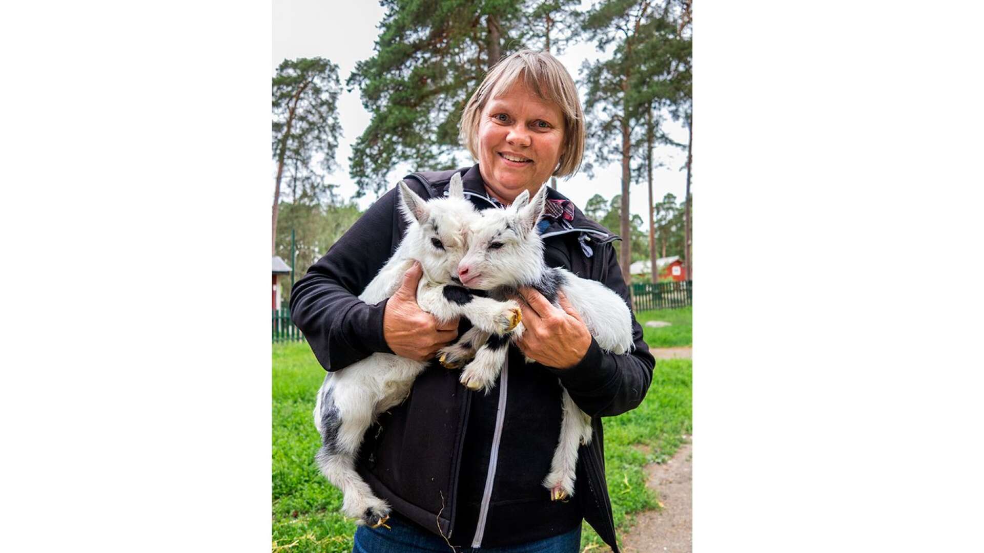 Att det finns djurungar i Mariebergsskogen är något som uppskattas av besökarna, men det berikar även miljön för djuren själva, menar Pia Karlsson.