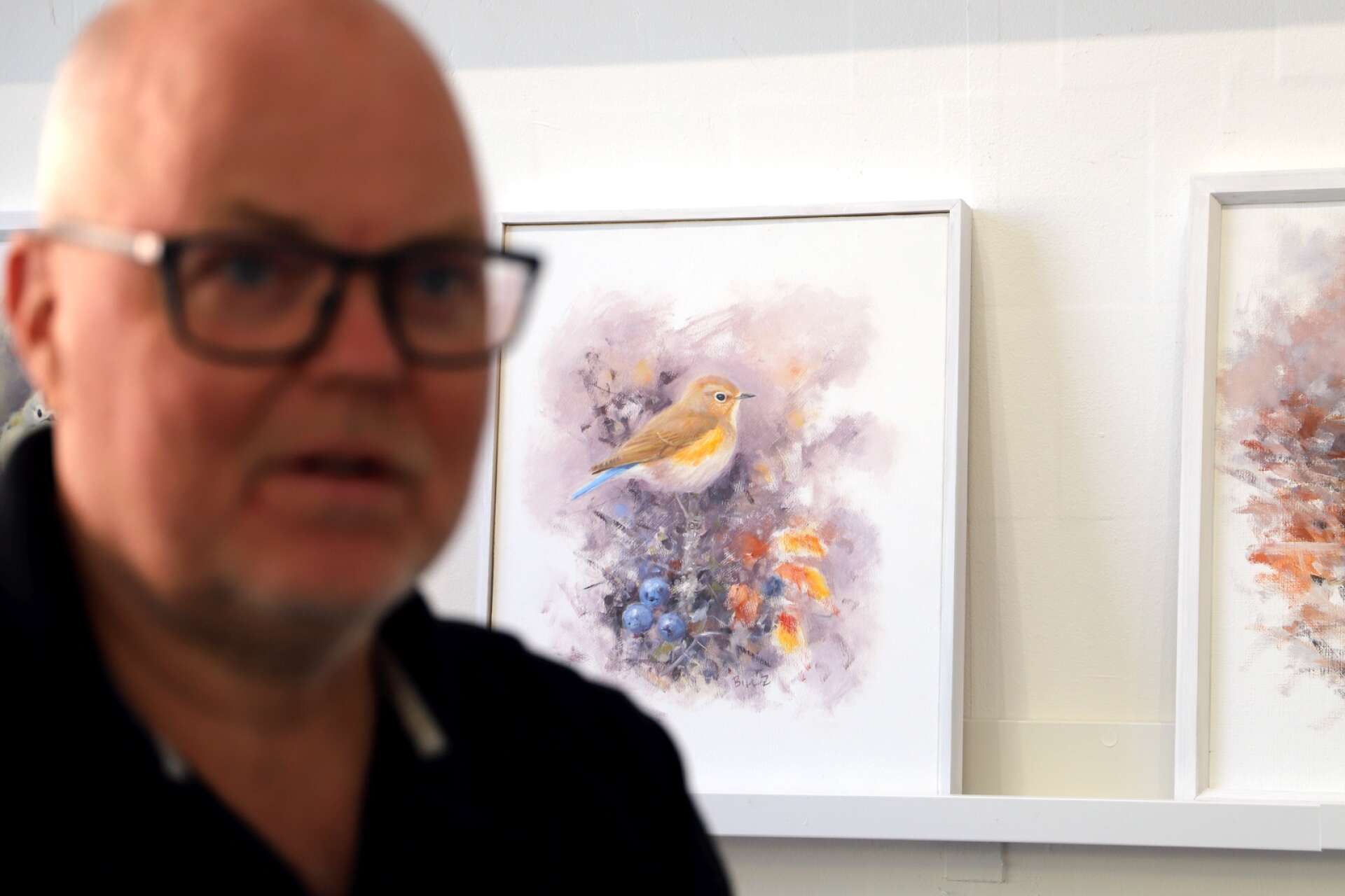 Bill Zetterström bjuder in till fåglarnas värld i en utställning på Galleri Värmland.