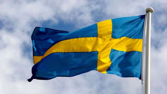 Lars-Anders Johansson menar att Sverige är Västerlandets svaga länk när det gäller terroristbekämpning.
