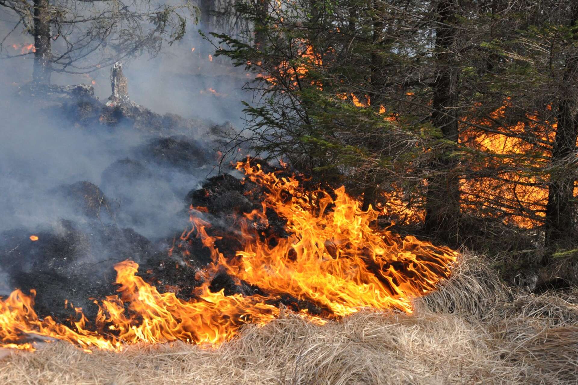SMHI har utfärdat en varning för gräsbränder i hela Götalands fastland och stora delar av Svealand. Ännu har dock ingen rejäl gräsbrand uppstått i vårt område./ARKIVBILD
