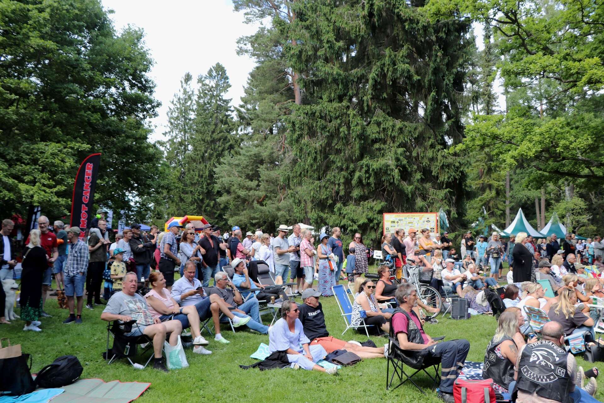 I Stadsparken arrangerades den 2 juli, festivalen Rock mot cancer för att samla in pengar till Barncancerfonden Västra.