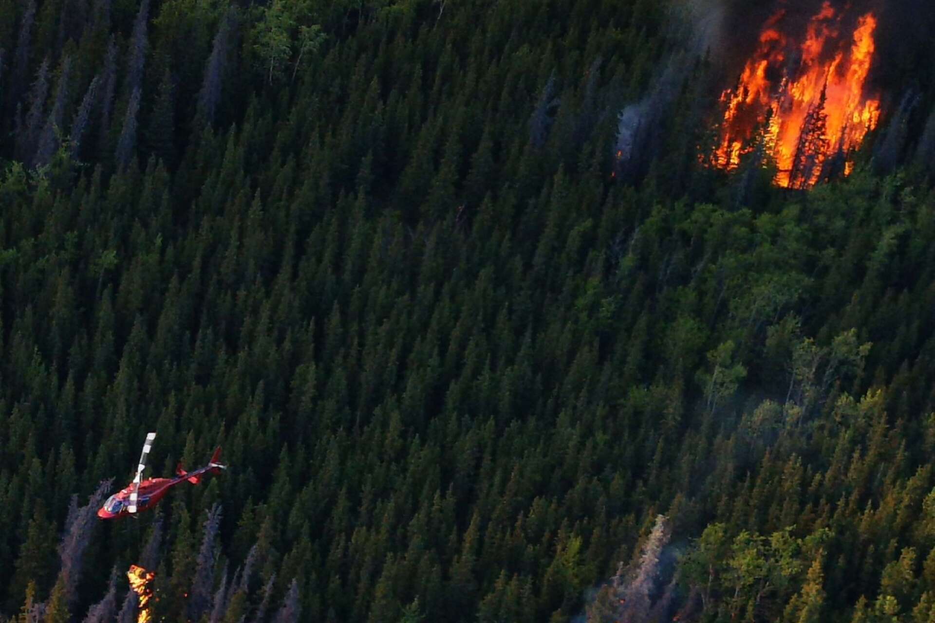 Skogsbränder tillhör verkligheten under varma somrar i Yukon territory.