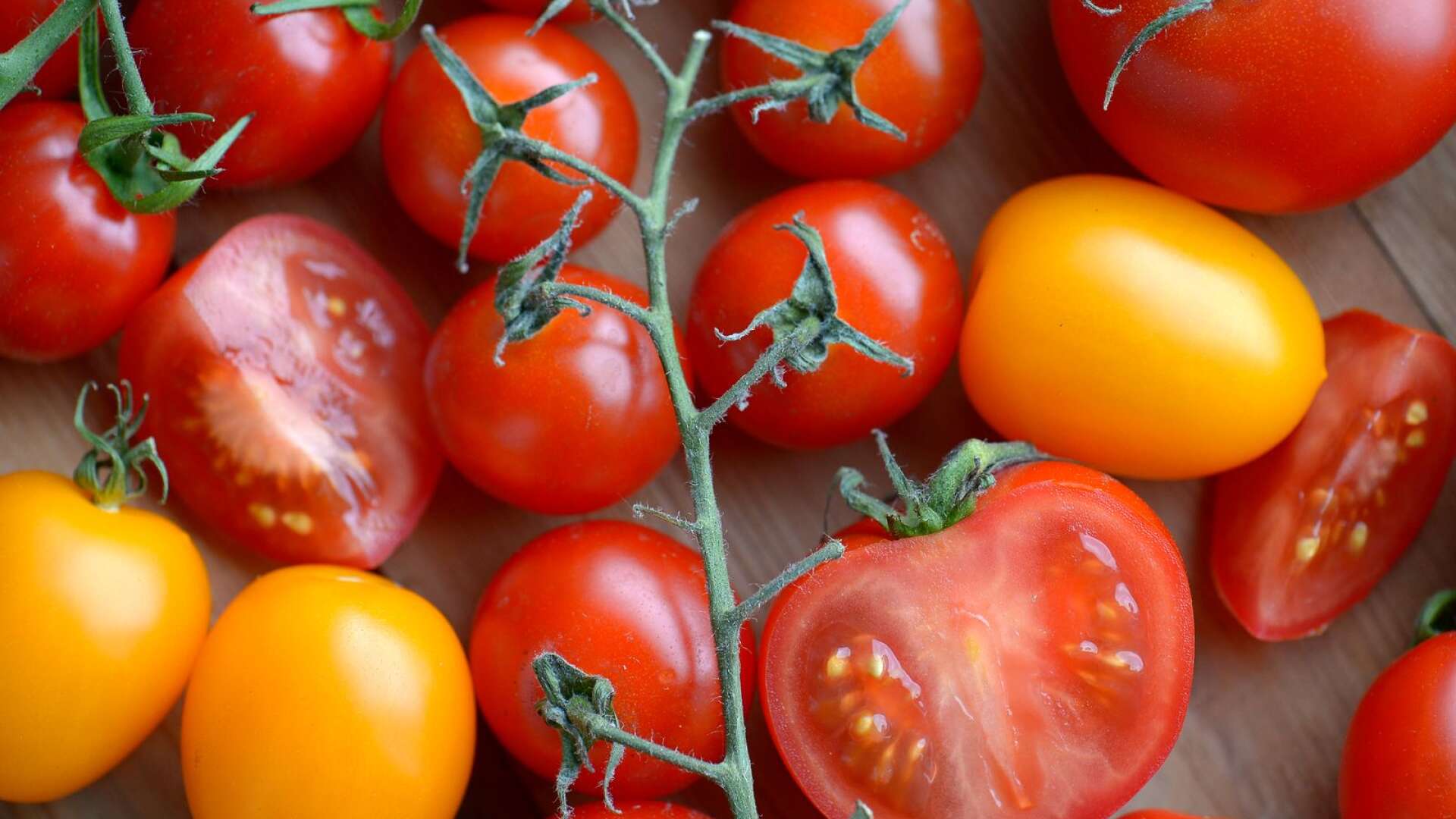 Mer än hälften av svenskarna är till exempel osäkra på om en tomat innehåller dna. Sex procent är förvissade om att tomater saknar arvsanlag, skriver Per-Ola Olsson.