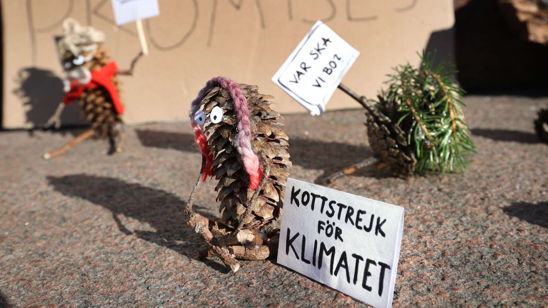 Demonstration på torget mot exploatering av Månsberget.