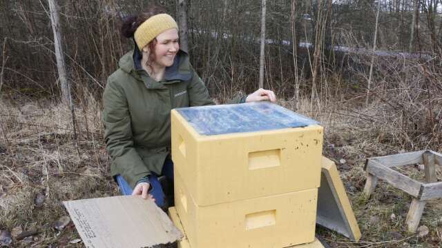 Elin Iderström gillar sina bin och ser fram emot ännu en sommar med nyslungad honung.