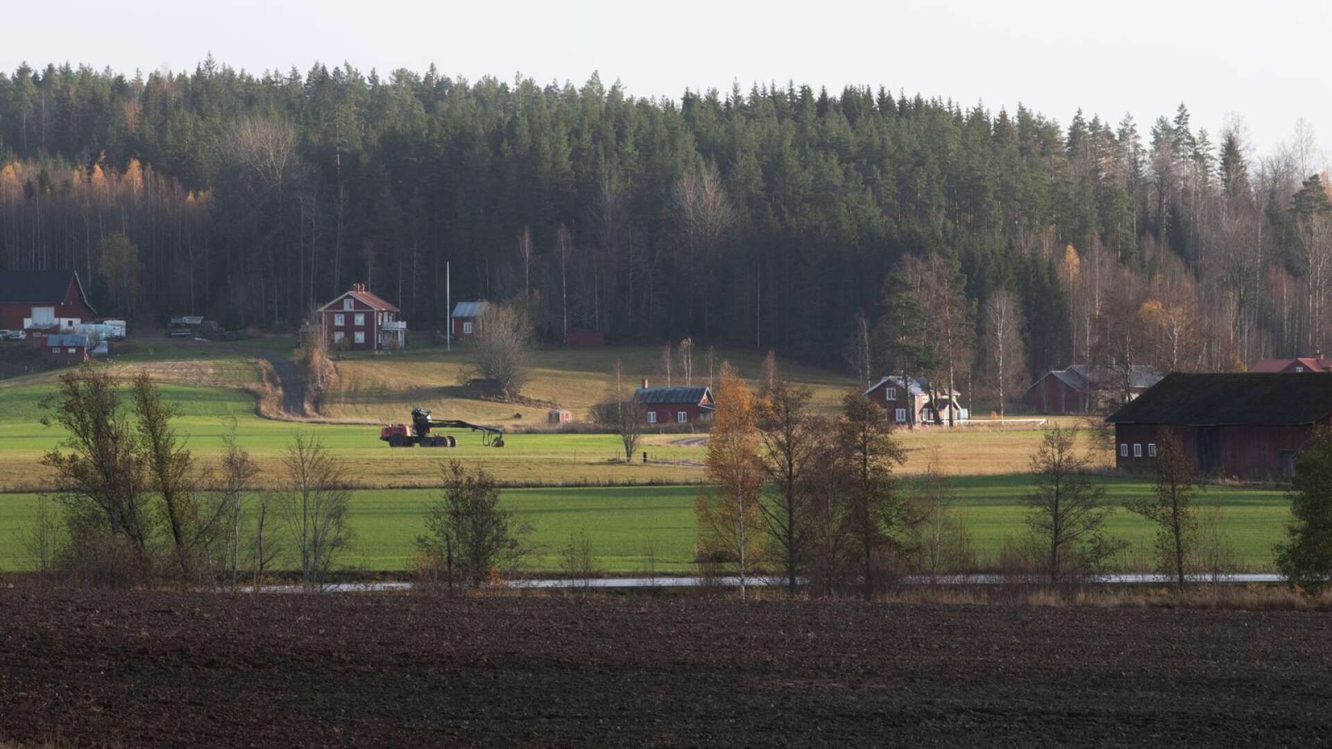 För landsbygdspolitik är också en fråga om frihet, skriver Emil Olsén-Johansson.