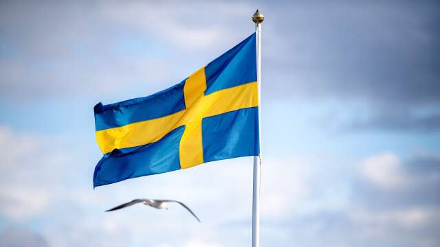 Sveriges erfarenhetsunderskott blir övertydligt under korankrisen, anser ledarskribenten.