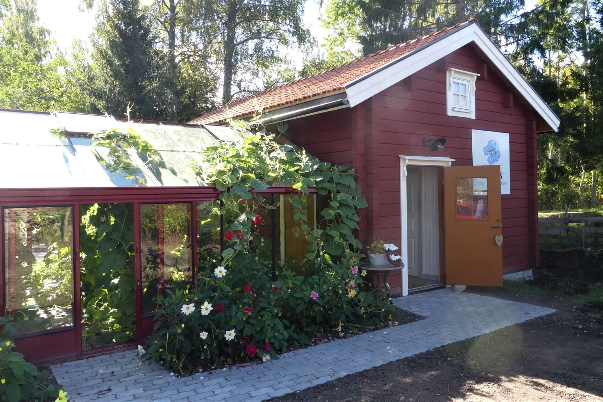Bredvid entrén till Linhagens kaffestuga ligger ett växthus som i vinter kommer att värmas upp för cafégästerna.