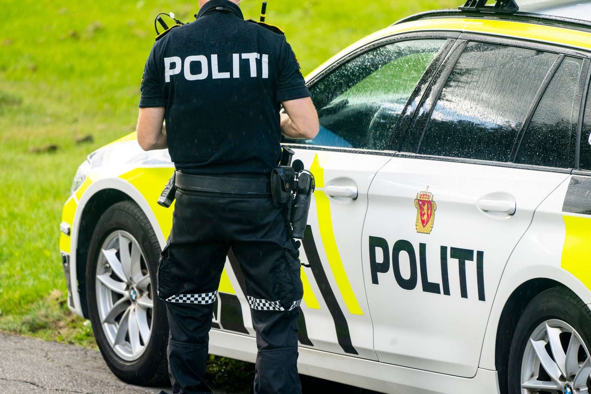 Svensk polis fick hjälp av norsk polis när en biltjuv ertappades på söndagskvällen.
