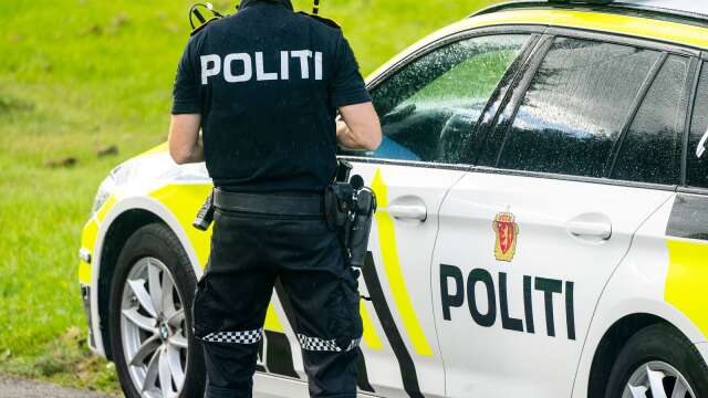 Svensk polis fick hjälp av norsk polis när en biltjuv ertappades på söndagskvällen.