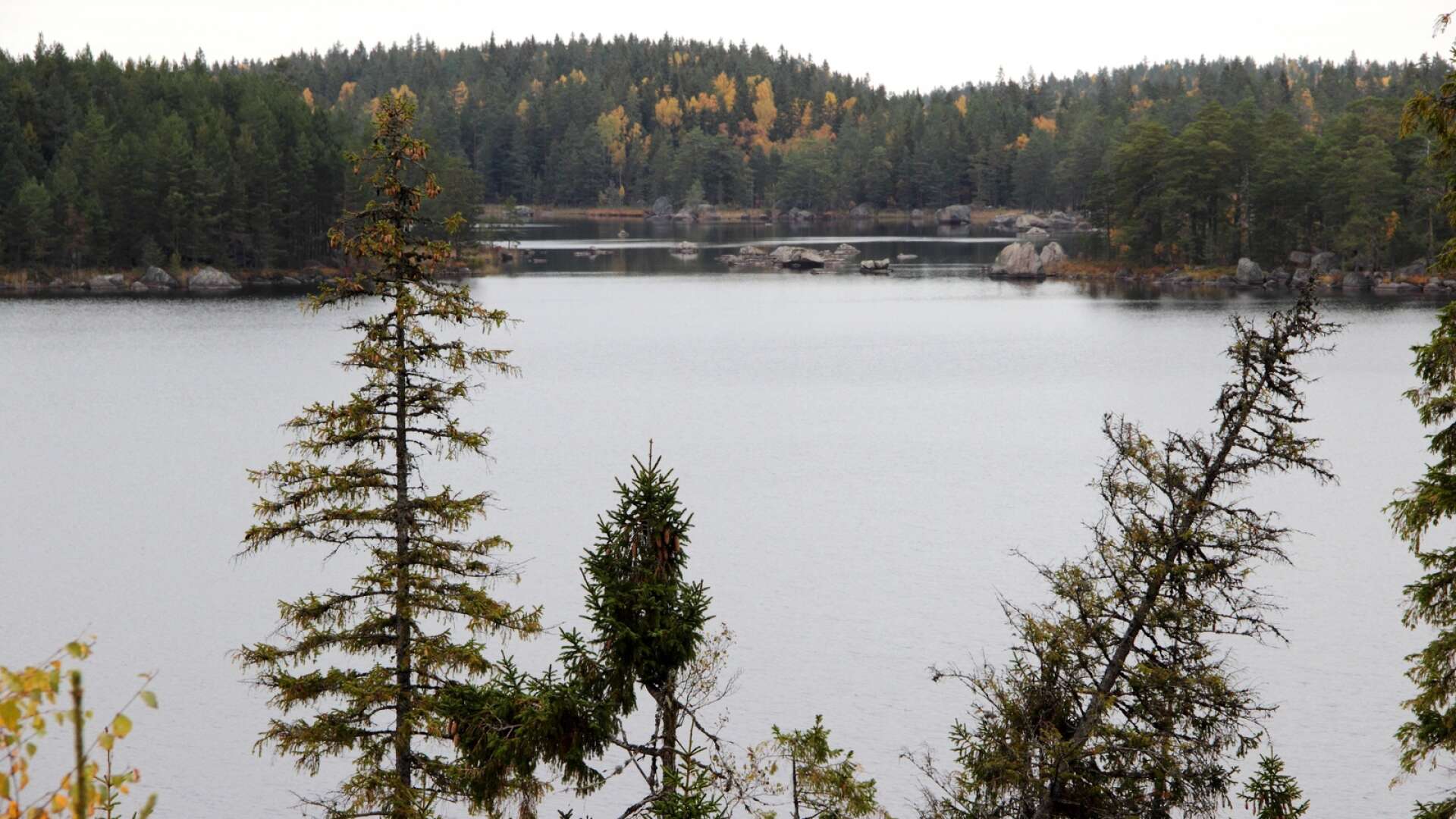 Sjön Örgiven i Fasaskogen går ihop med Holmsjön och där vill man bygga en bro, som förbinder vandringslederna i området.