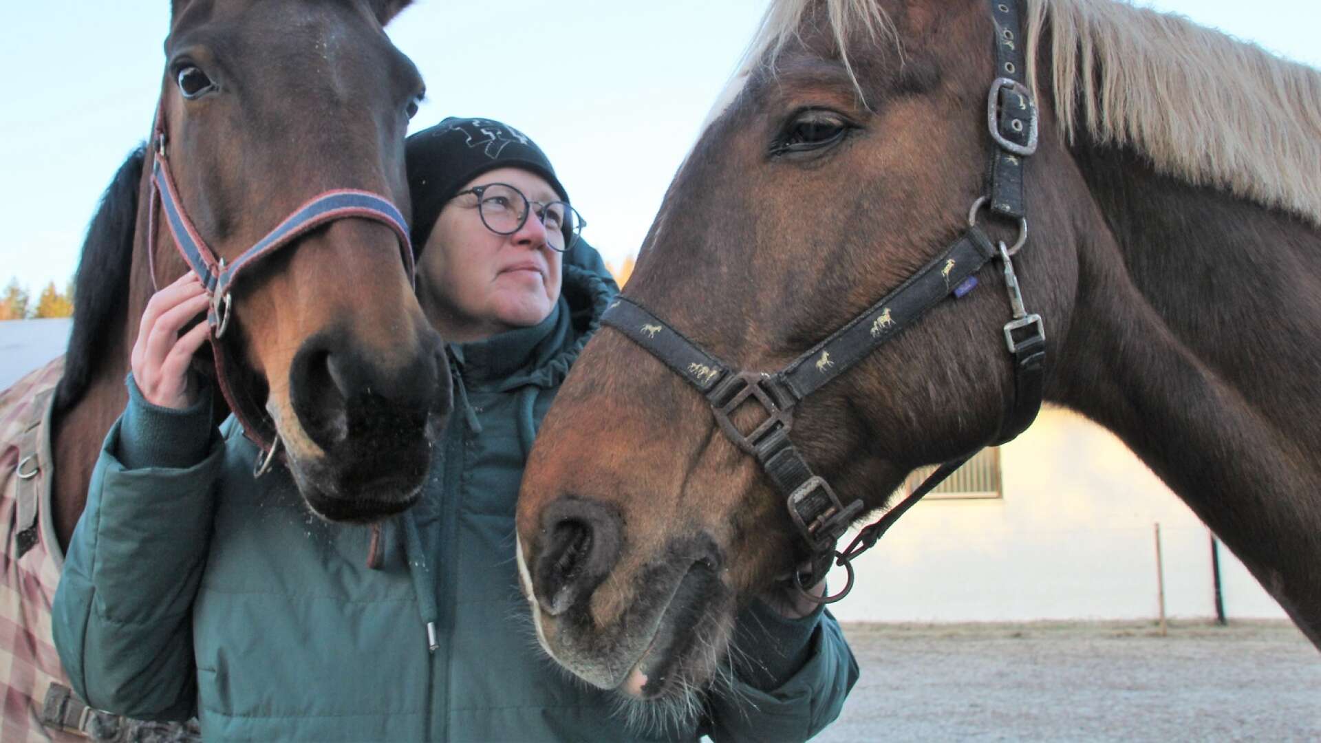 Carina Albertsson, Högsäter, har gett ut en fotobok med egna bilder på hästar. 