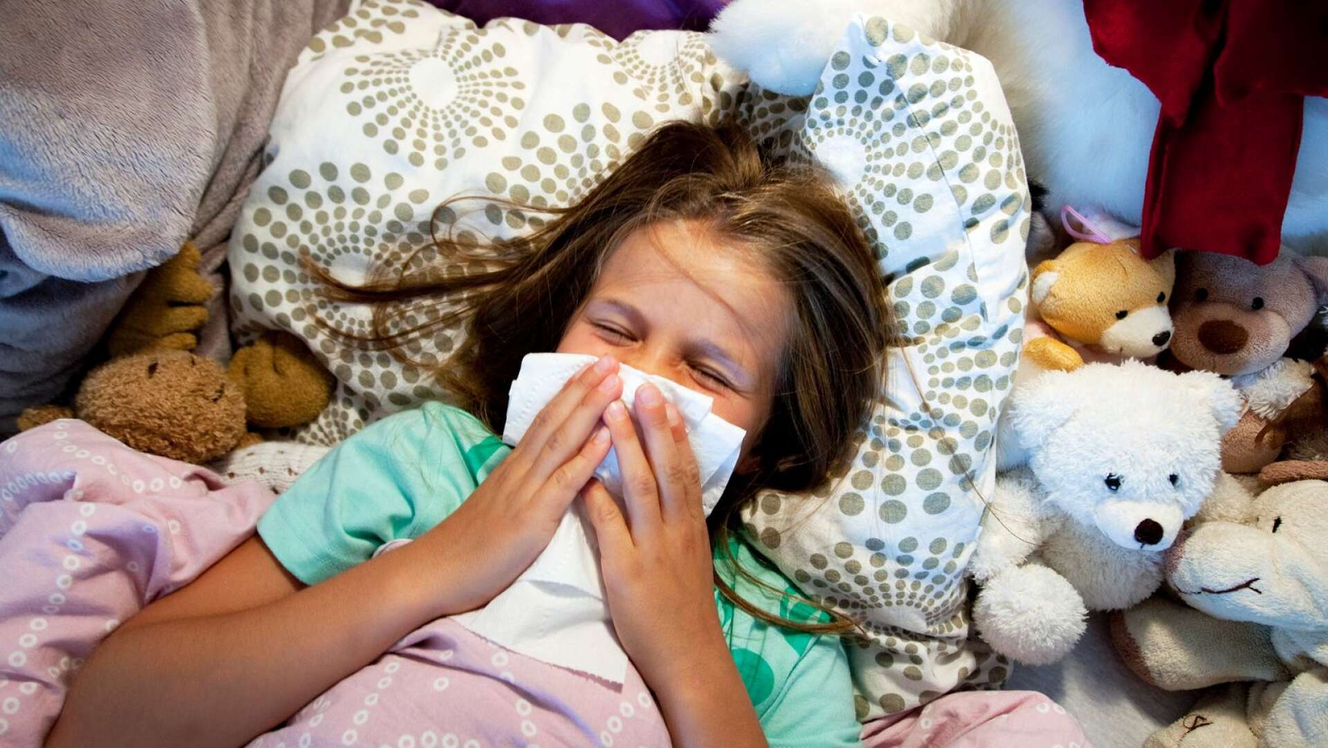 Vid influensa finns viruset framförallt i svalg och luftvägar. 