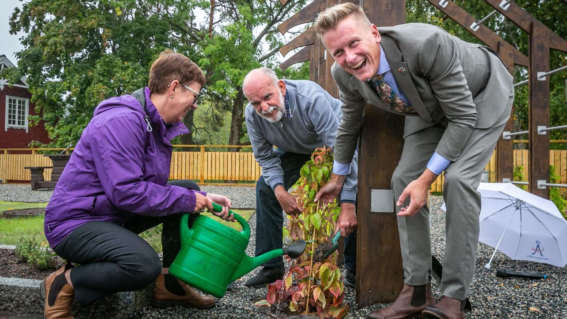 Anette Eriksson (C), Lennart Bryntesson (MP) och Daniel Schützer (S) planterade en planta vildvin, som kommer att växa sig stor och ståtlig mot pergolan kommande år.
