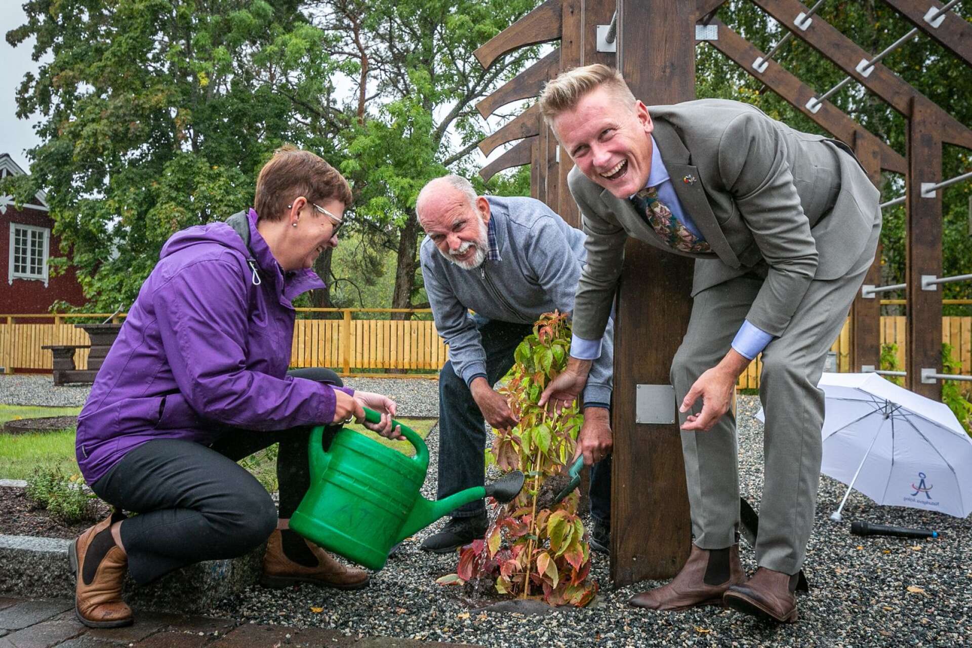 Anette Eriksson (C), Lennart Bryntesson (MP) och Daniel Schützer (S) planterade en planta vildvin, som kommer att växa sig stor och ståtlig mot pergolan kommande år.