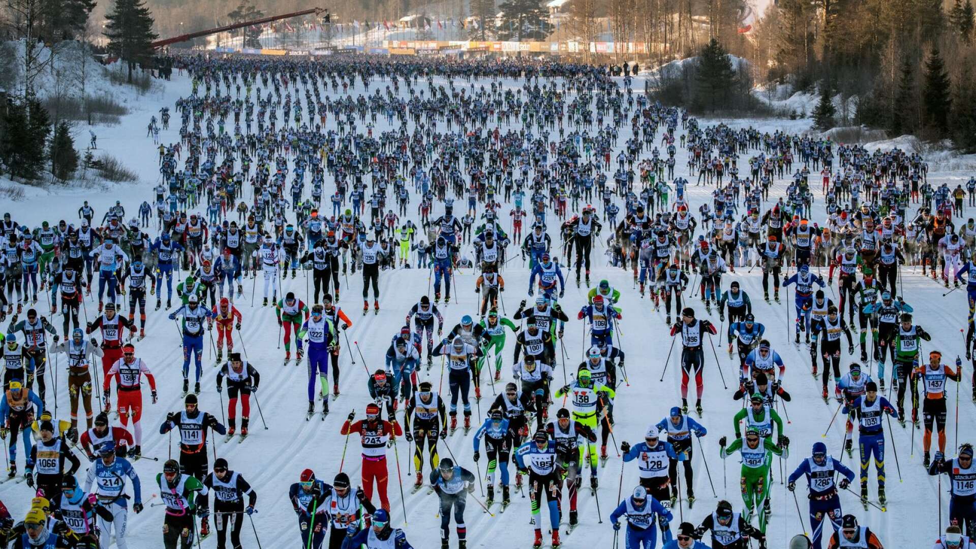 Starten av Vasaloppet 2022 i Berga by, Sälen. Se hur det gick för de lokala åkarna nedan.