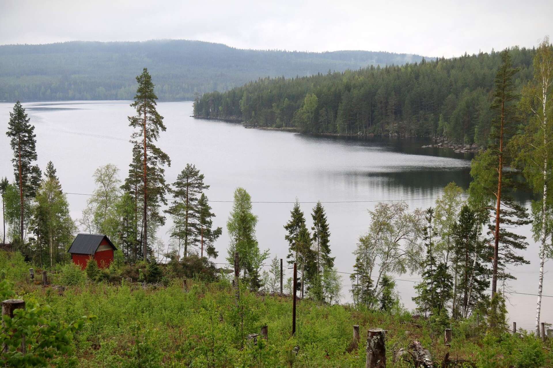 Stora Ullen är hem för en, i södra Sverige, ovanlig sorts storröding varför länsstyrelsen beslutat att Fortum behöver genomföra en större miljökonsekvensbeskrivning.