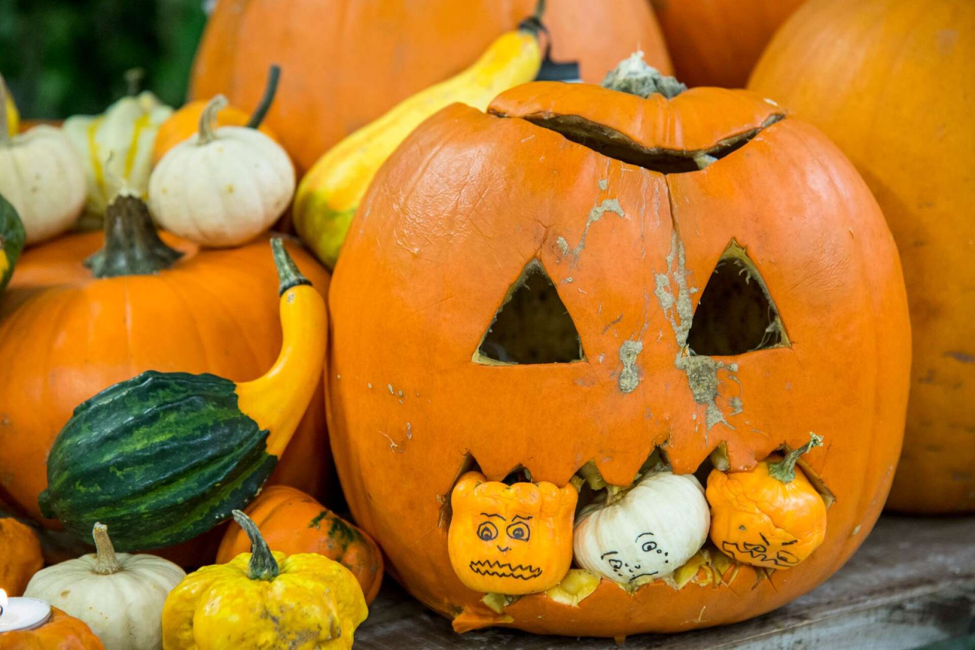 Halloween och även Alla helgons dag närmar sig. Först ut är halloween och Åmålsborna firar detta på lite olika sätt.
