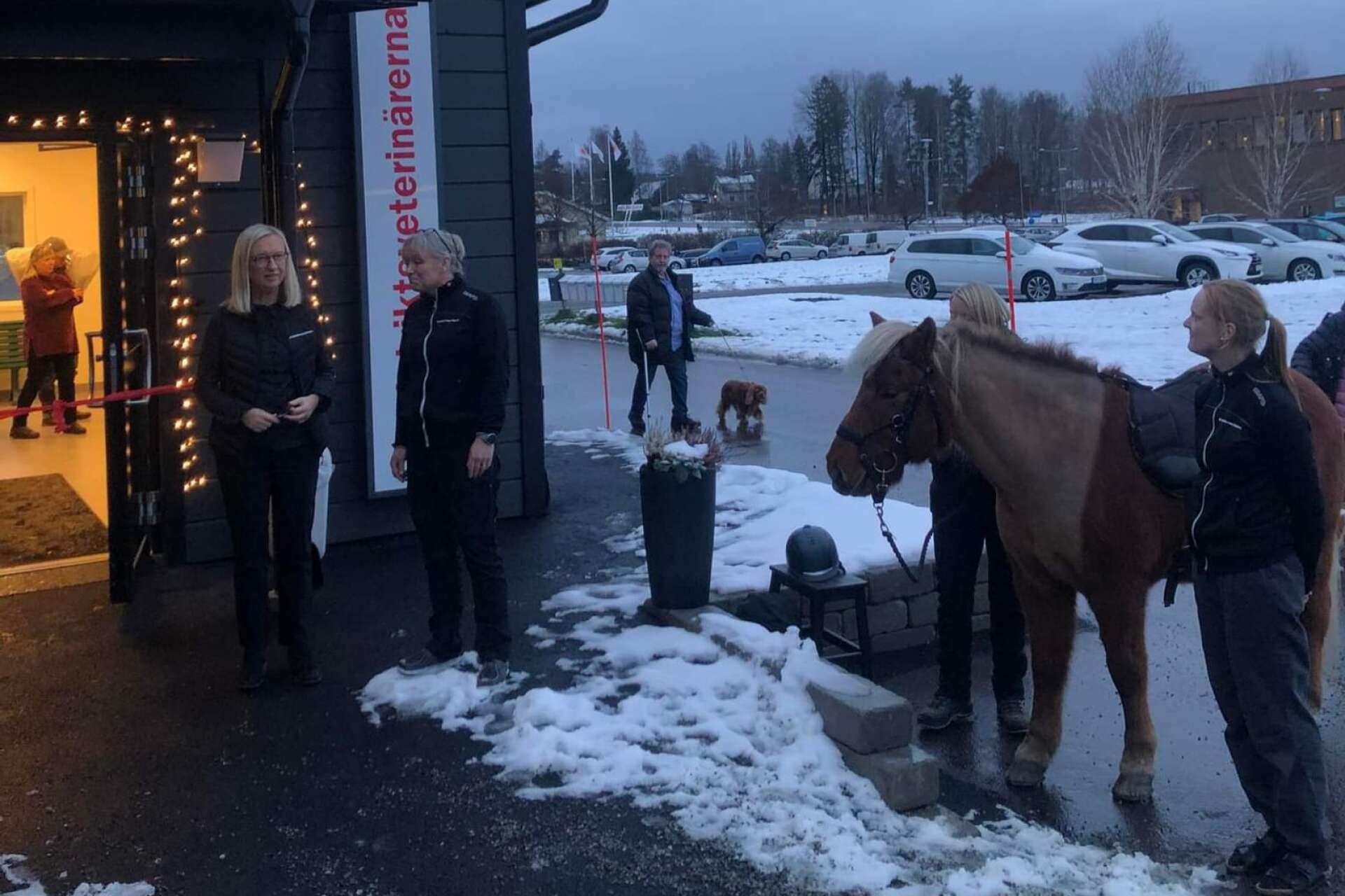 Hillevi Lindström, chef för Distriktsveterinärerna Sverige, var på plats när de nya lokalerna invigdes i Arvika förra veckan. Här syns hon till vänster i bild då bandet skulle klippas.