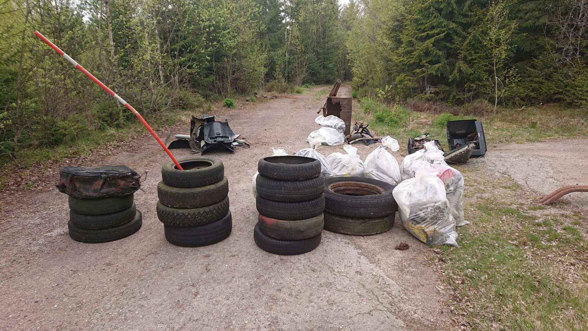 Markägaren Stefan Gustavsson har under våren samlat ihop mängder av skräp, som dumpats längs ensliga små avtagsvägar till väg 164 mellan Rådanevägen och Hålsjöängsrakan i Edsleskog.