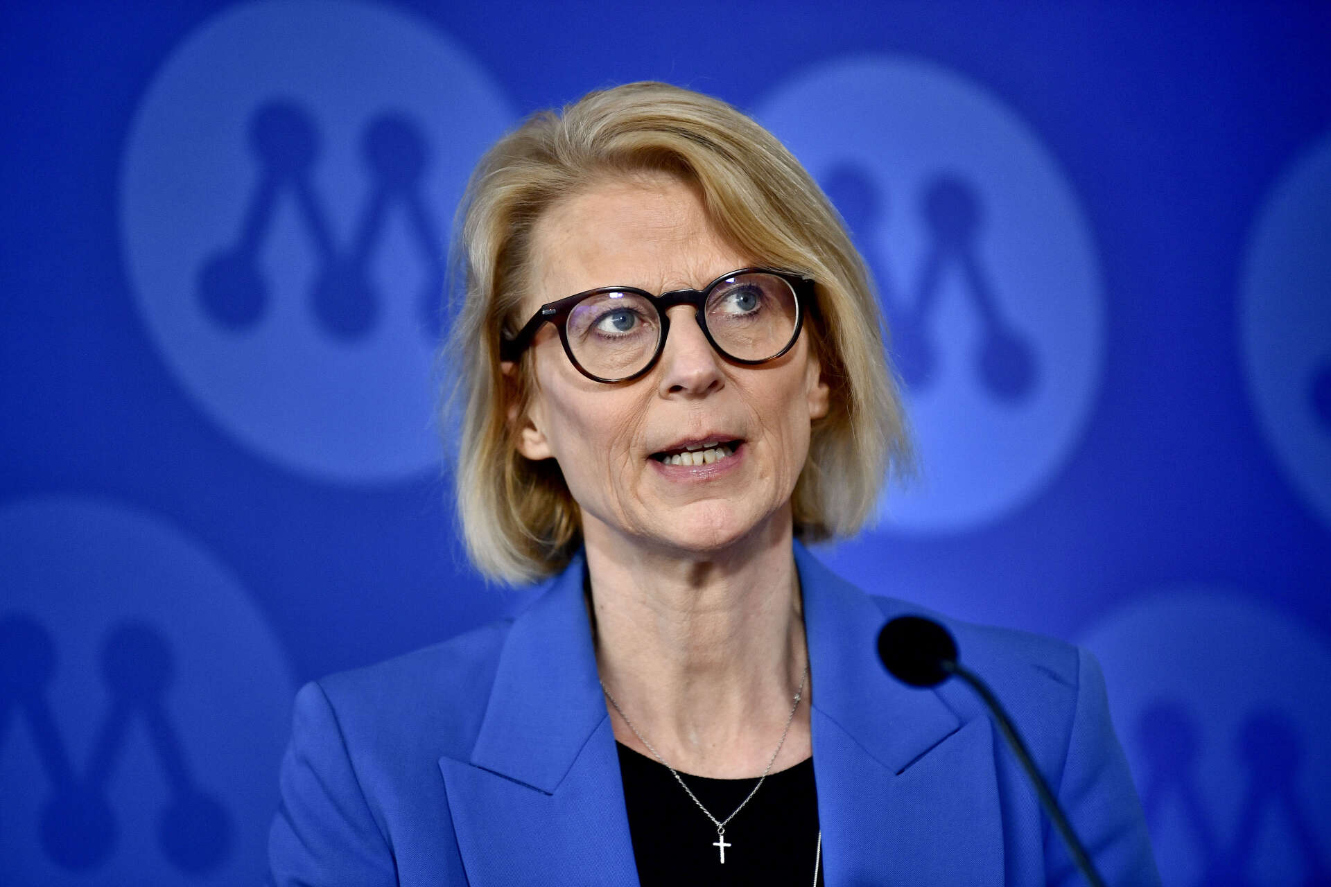 Finansminister Elisabeth Svantesson . Arkivbild