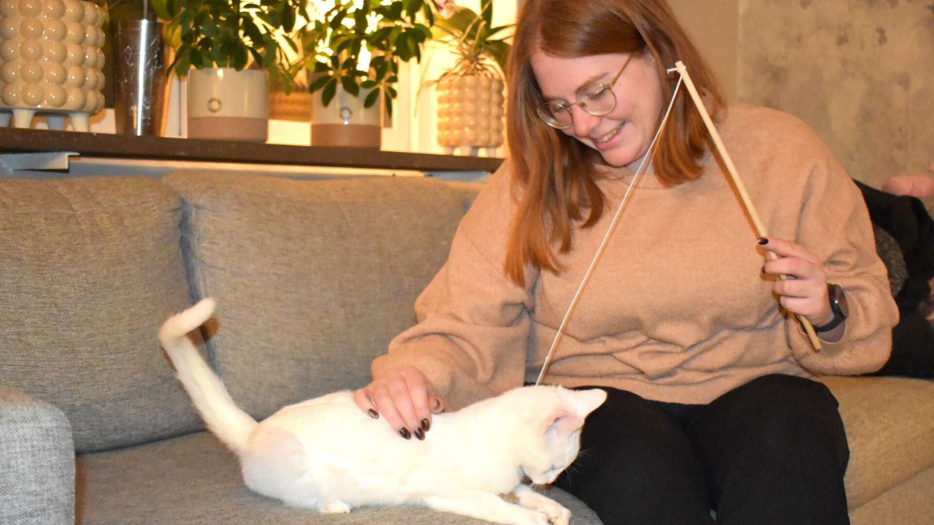 Lina Mellåker och hennes familj gav den övergivne, utmärglade kattungen som hittades utomhus ett nytt, varmt och tryggt hem.