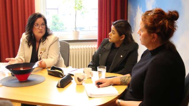 Kommunstyrelsens ordförande i  Degerfors Anneli Mylly (V) uppskattade att få lyfta fram de utmaningar man har till riksdagsledamot Nadja Awad (V) och regionrådet Jessica Karlqvist (V).