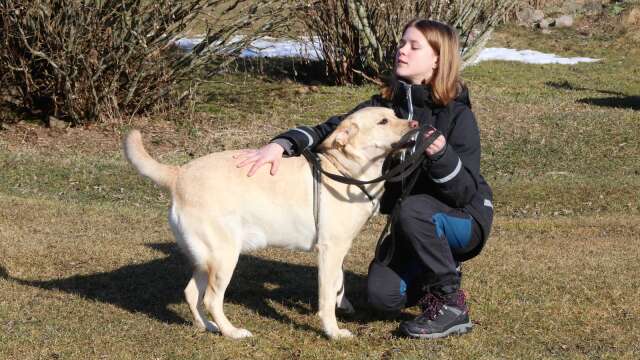 Moa Larsson hade tagit med sig sin egen hund, labradoren Rosa.