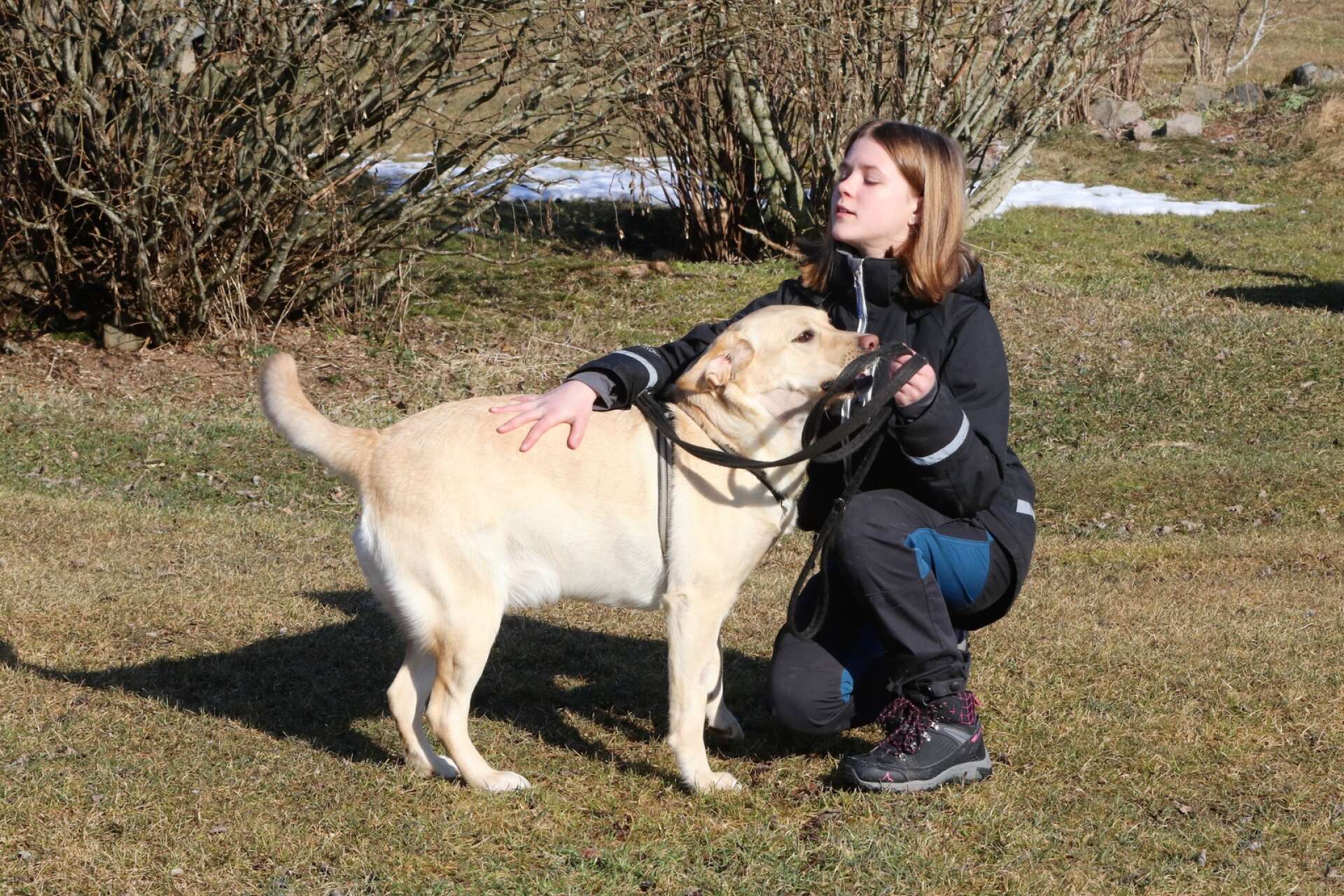 Åmåls Brukshundklubb ställde välartade lånehundar till förfogande vid prova-på-träningar under året. Moa Larsson deltog med sin egen hund, labradoren Rosa, vid sportlovsaktiviteterna på Tjuke.