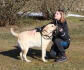 Åmåls Brukshundklubb ställde välartade lånehundar till förfogande vid prova-på-träningar under året. Moa Larsson deltog med sin egen hund, labradoren Rosa, vid sportlovsaktiviteterna på Tjuke.