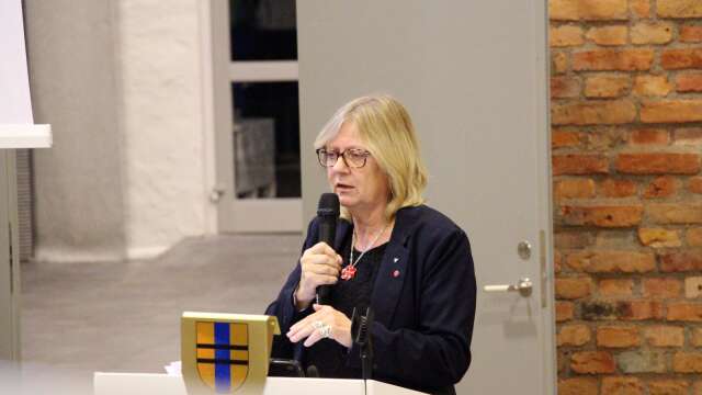 Anne-Charlotte Karlsson under ett tidigare, icke-digitalt fullmäktigesammanträde.