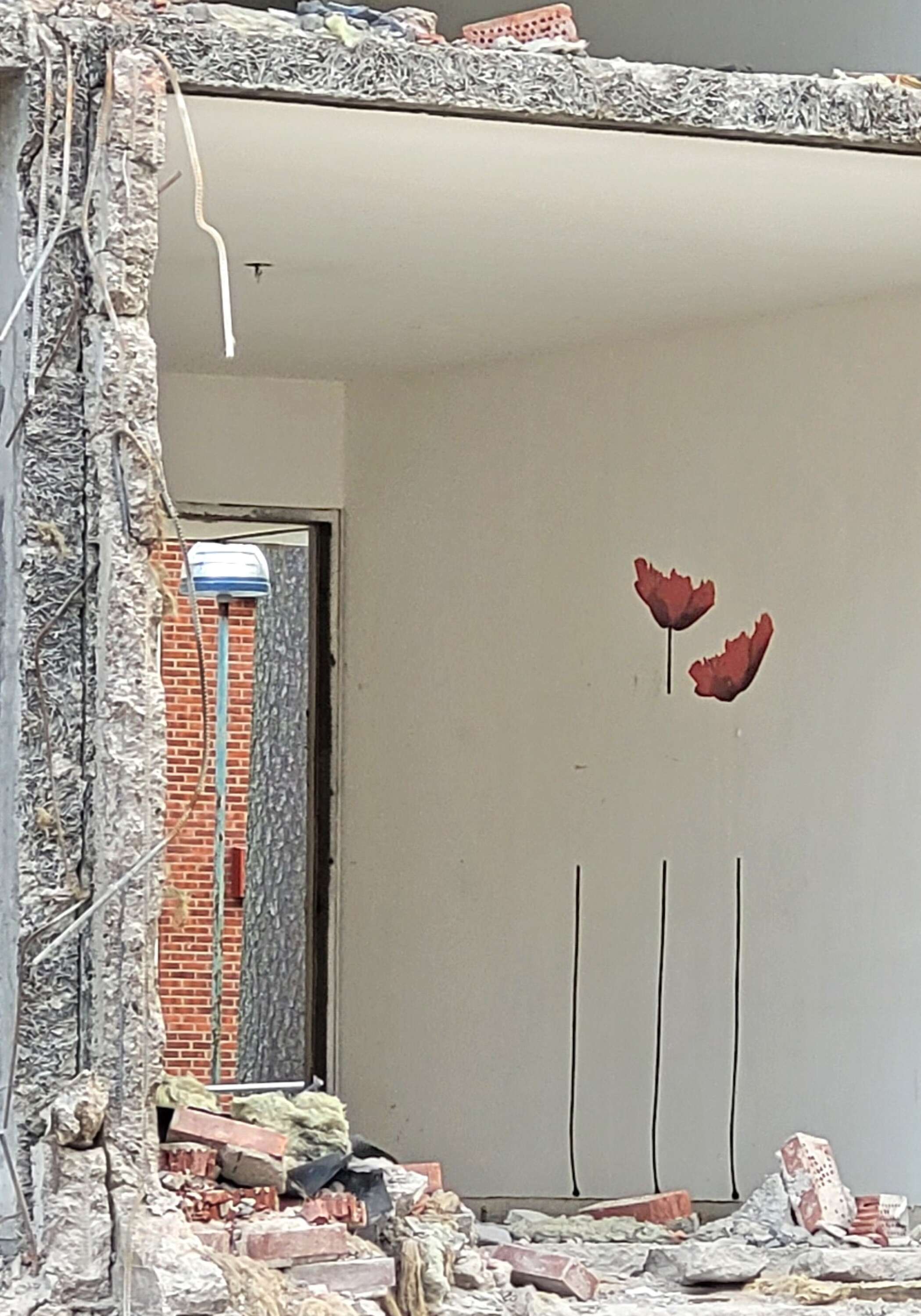 De flesta väggarna i huset är enfärgade i olika kulörer. Ett undantag finns. I en lägenhet finns en väggmålning med vallmo, som en gång fick pryda det rummet.