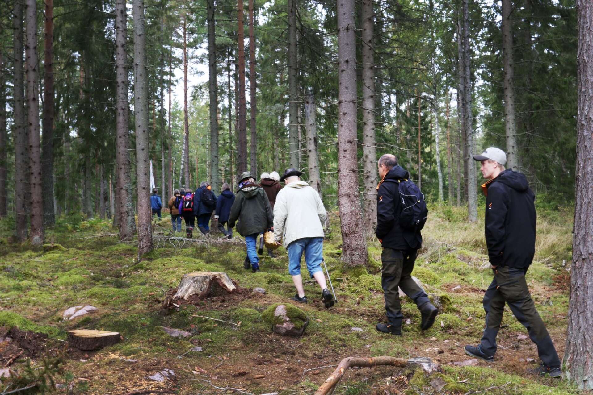 Naturskyddsföreningen skogdag på Torsö Jan Bertilsson 