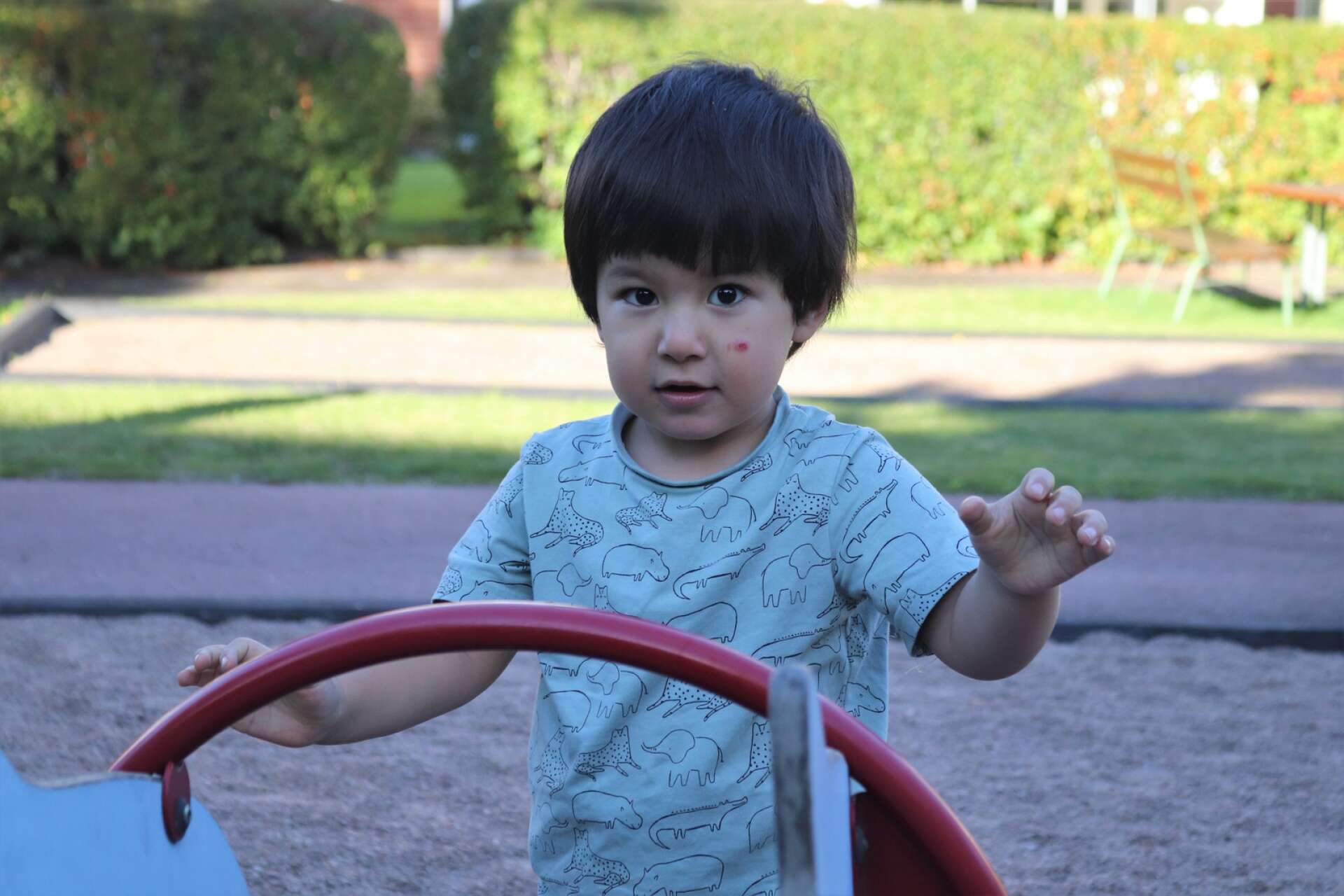 Migrationsverket ska besluta om tvåårige Elias Rahimi, som är född i Sverige om han ska utvisas efter föräldrarna och övriga familjens utvisningsbeslut. 