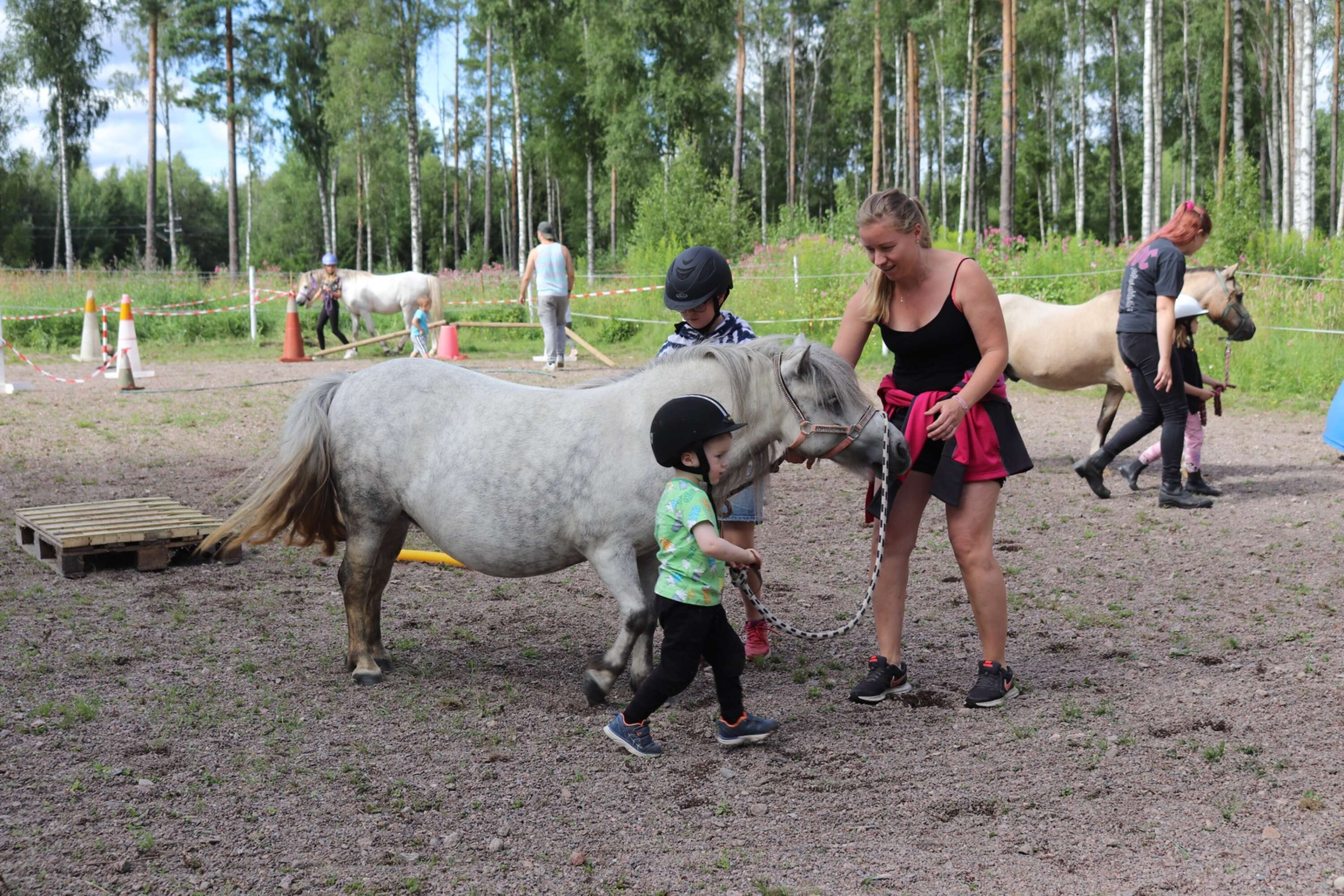 Hästen Juni är samarbetsvillig mot sina skötare. 