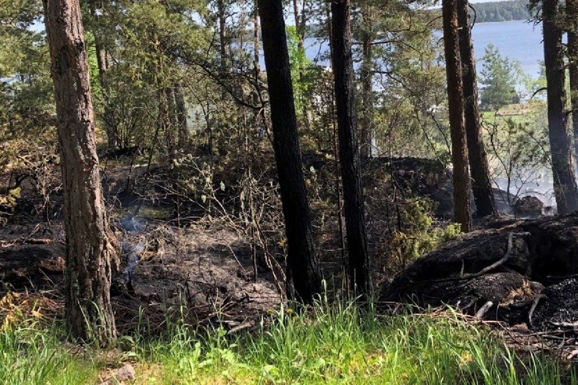 Det brann på ett område på cirka 70 x 50 meter i ganska kuperad terräng  i Myskedalen norr om Tösse på torsdagen. Räddningstjänsten i Åmål fick ganska snabbt kontroll över skogsbranden.