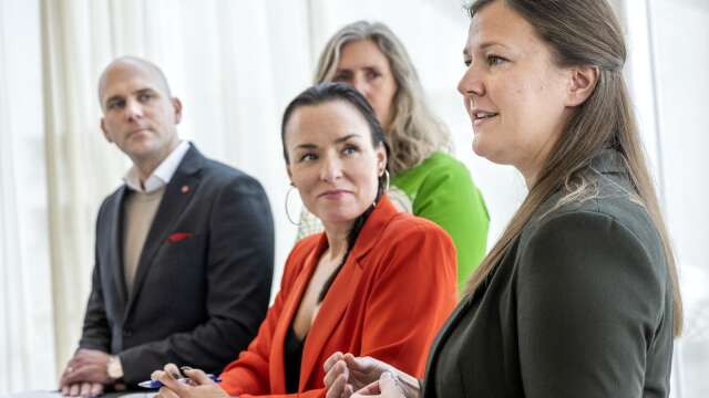 Anders Tallgren (S), Monika Bubholz (MP), Linda Larsson (S) och Frida Pettersson (C).