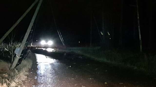 Ett träd blåste ned ute på Hammarö. Vägen till och från Rud blev helt blockerad.