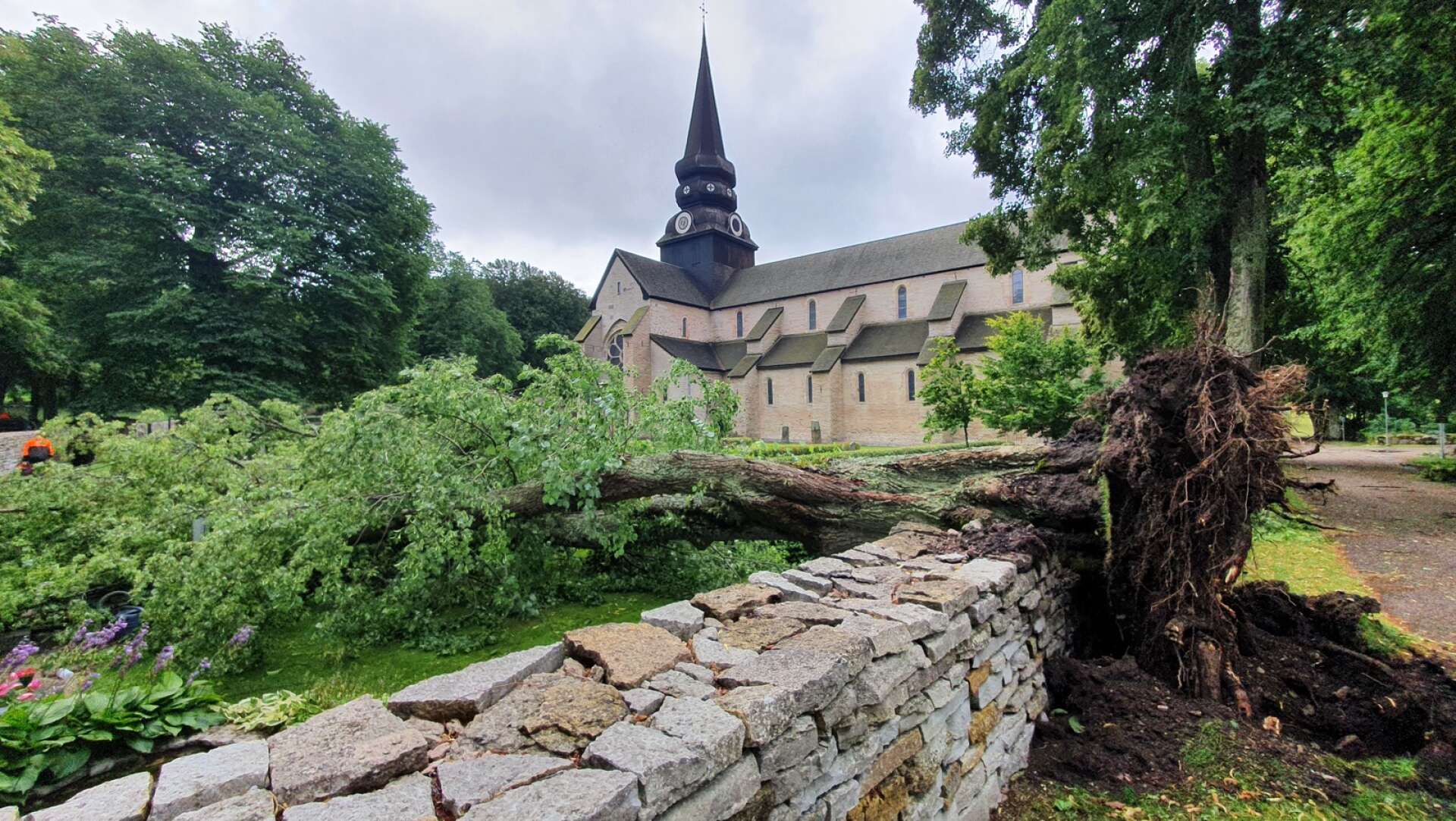 Uppröjningsarbetet efter nedfallna träd i Varnhem väntas ta in i nästa vecka.