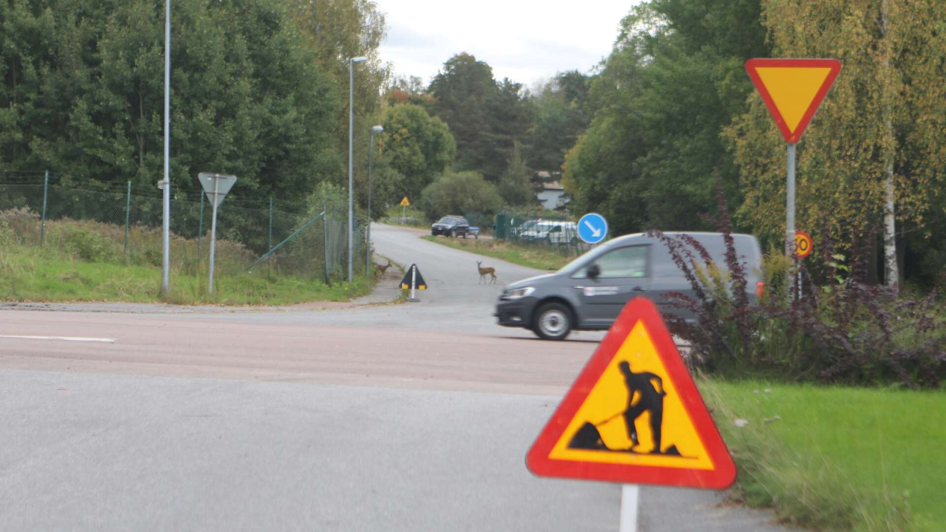 Två rådjur passerade över Jonstorpsvägen och vände sedan tillbaka. Efter en stund sprang de över Konsul Lundströms väg. 