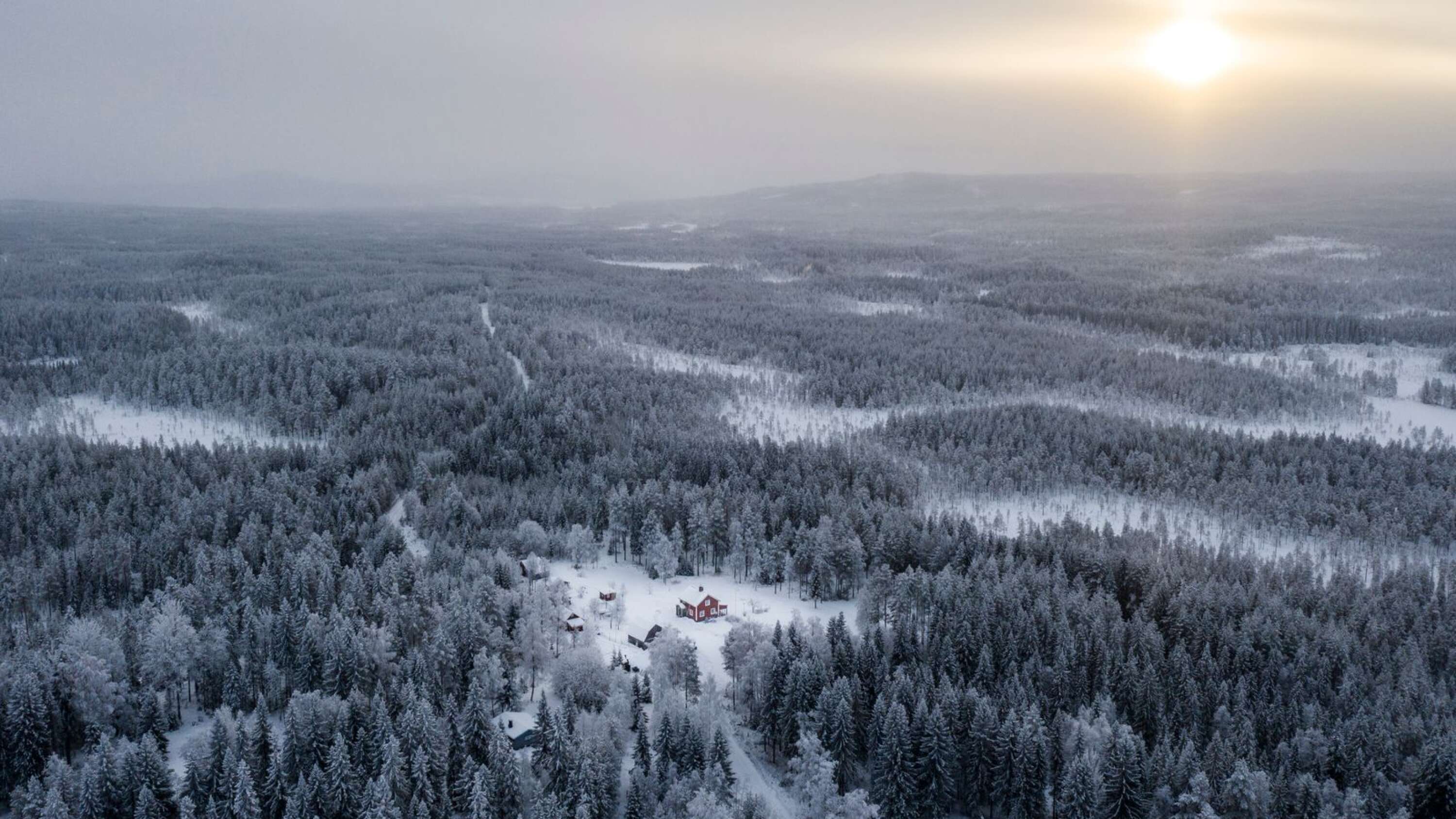 Gården där Siv och Göran Östby bor på från ovan. Deras hus ligger enbart någon kilometer från gränsen till Norge. 